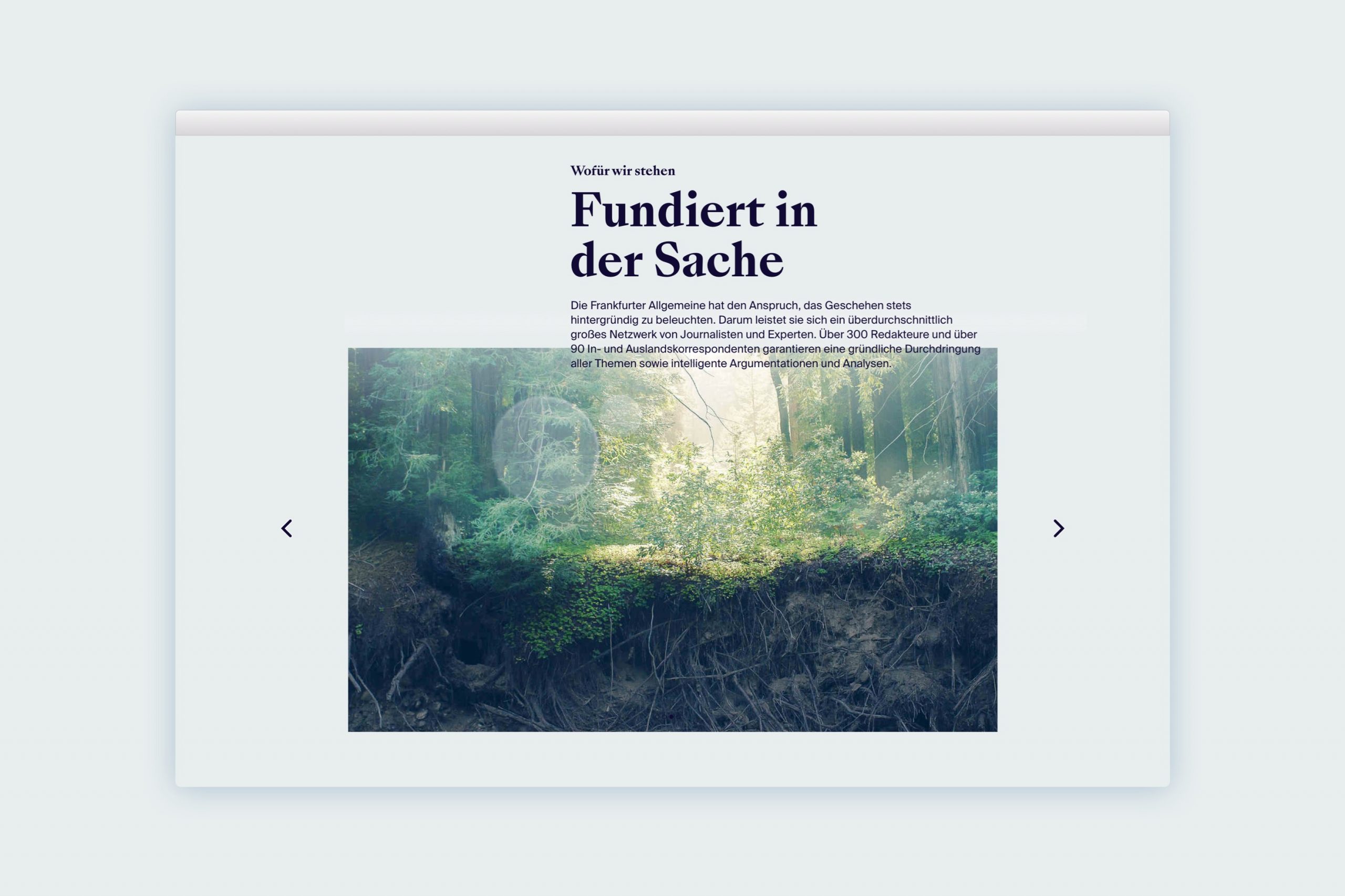 faz_slider3